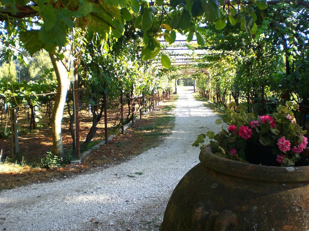 Valle Degli Arci Castel Madama Luaran gambar